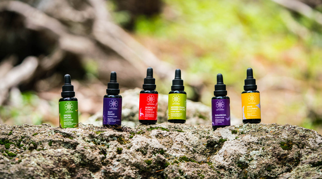 WHAT IS A SINGLE FLOWER ELIXIR?