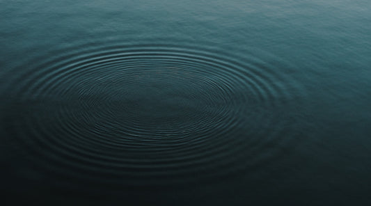 OPRAH'S ADAM GLASSMAN & THE RIPPLE EFFECT
