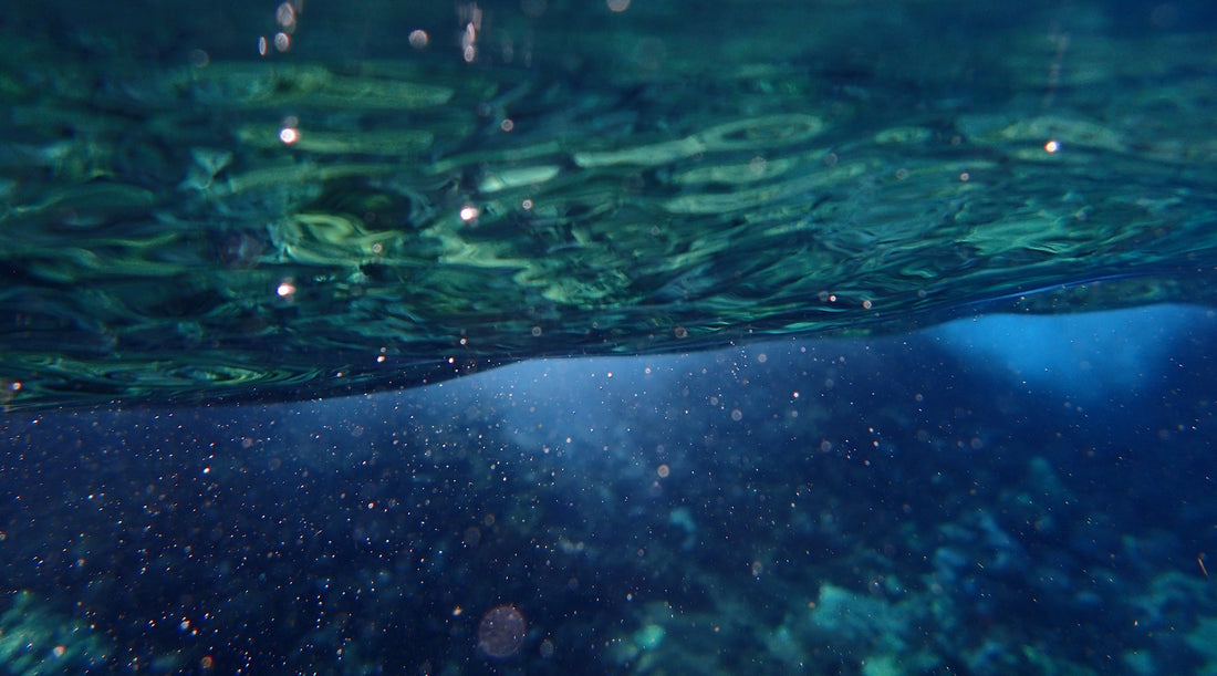 THE MAGIC OF BERMUDA