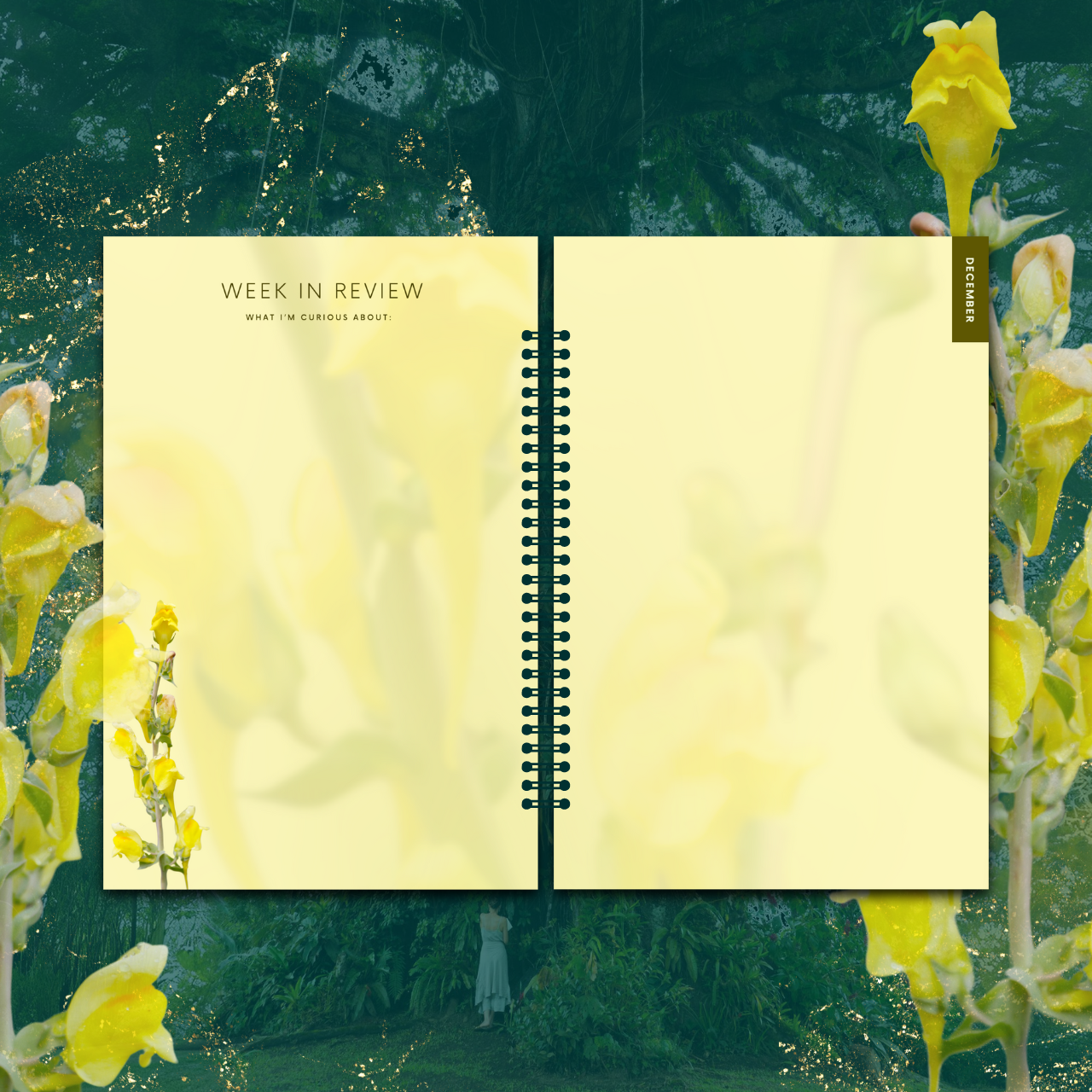Wood Dragon Finale Planner & Journal