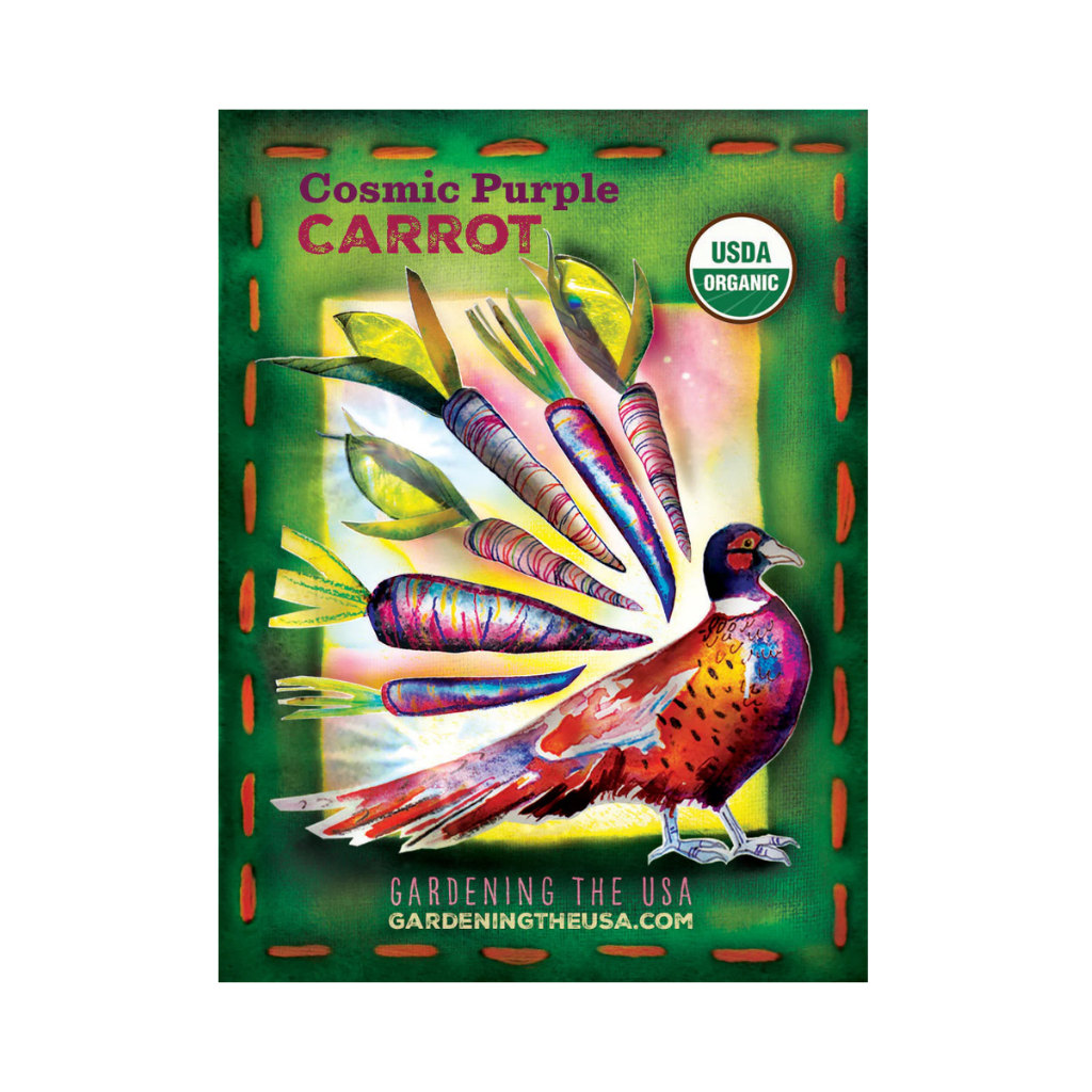 Cosmic Purple Carrot Seeds - Organic