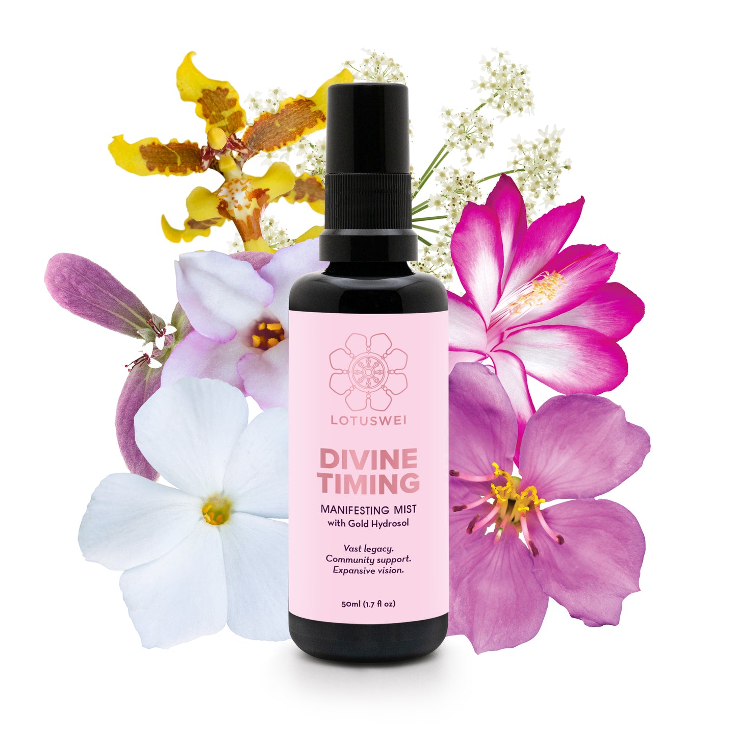 DIVINE TIMING MIST