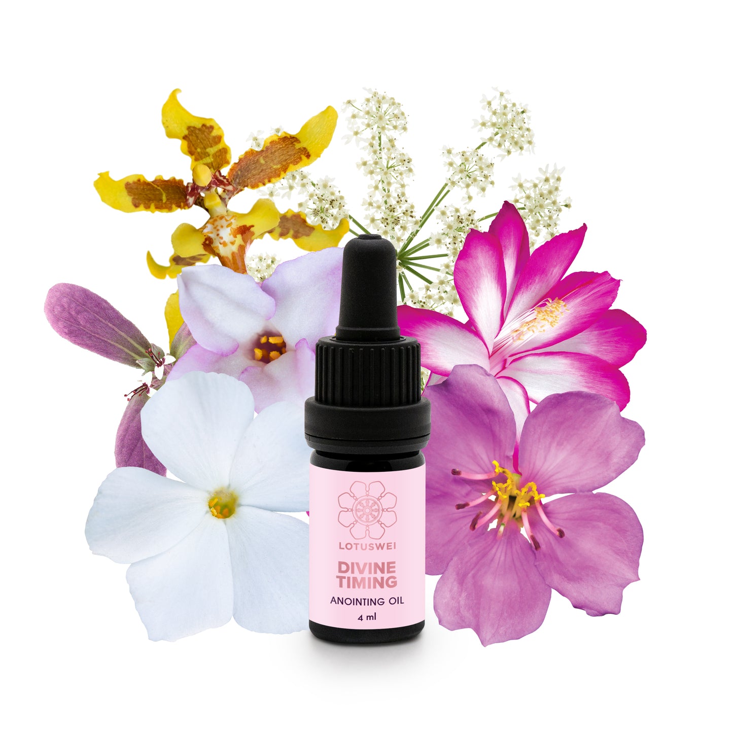 DIVINE TIMING ANOINTING OIL