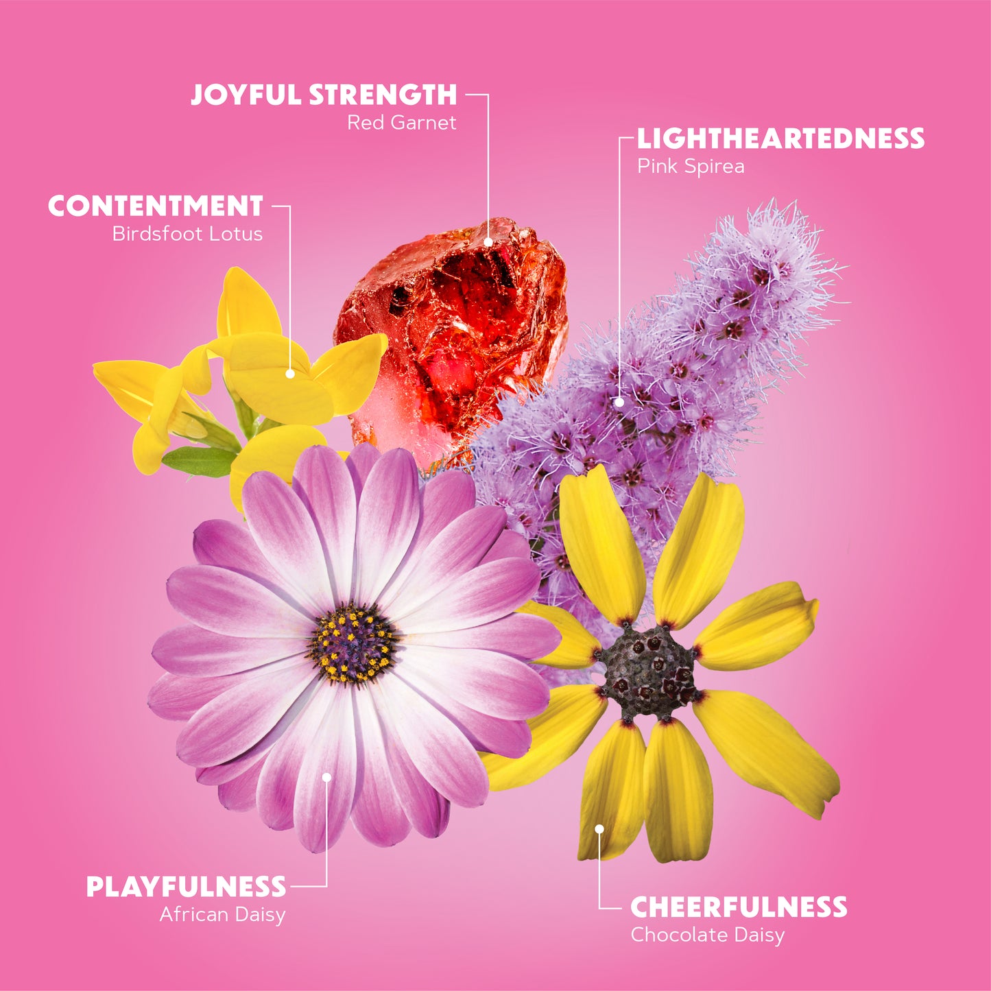 EMBODY: 6 ON-THE-GO MISTS