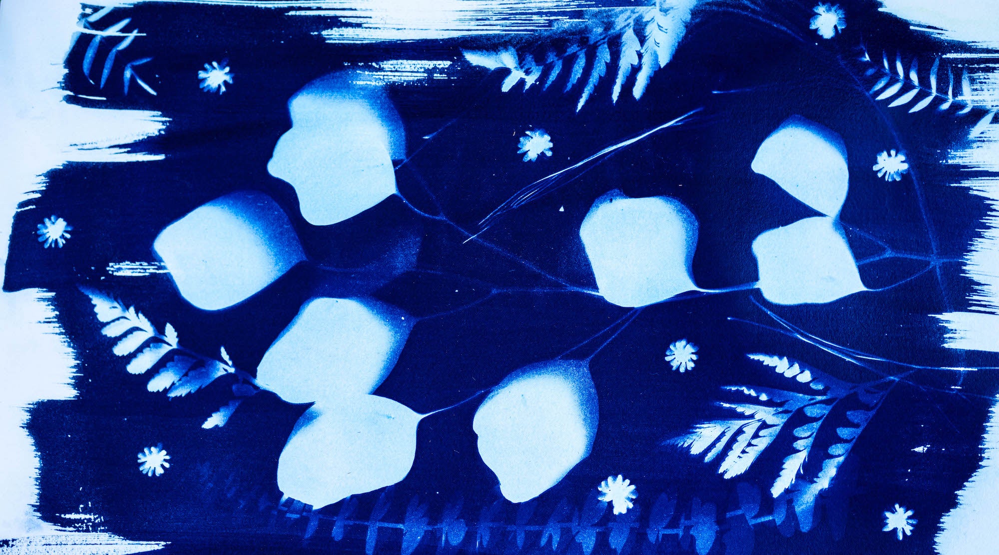 CYANOTYPE ~ EXPLORING THE REALM OF LIGHT