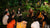 JUNGLE Flowerlounge ~ AN INTERACTIVE DINNER EXPERIENCE