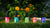 Flower Essences on a grassy lawn