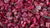 RUBY GEM ESSENCE