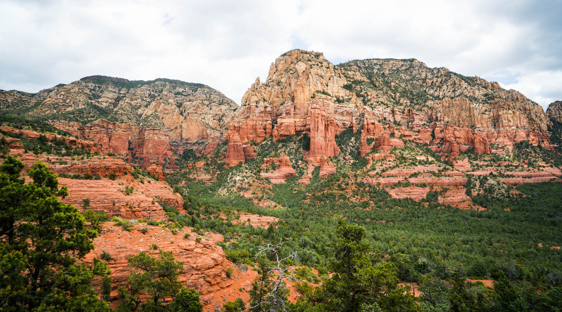 Sedona Landscape