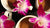 hot cacao LOTUSWEI flower essences