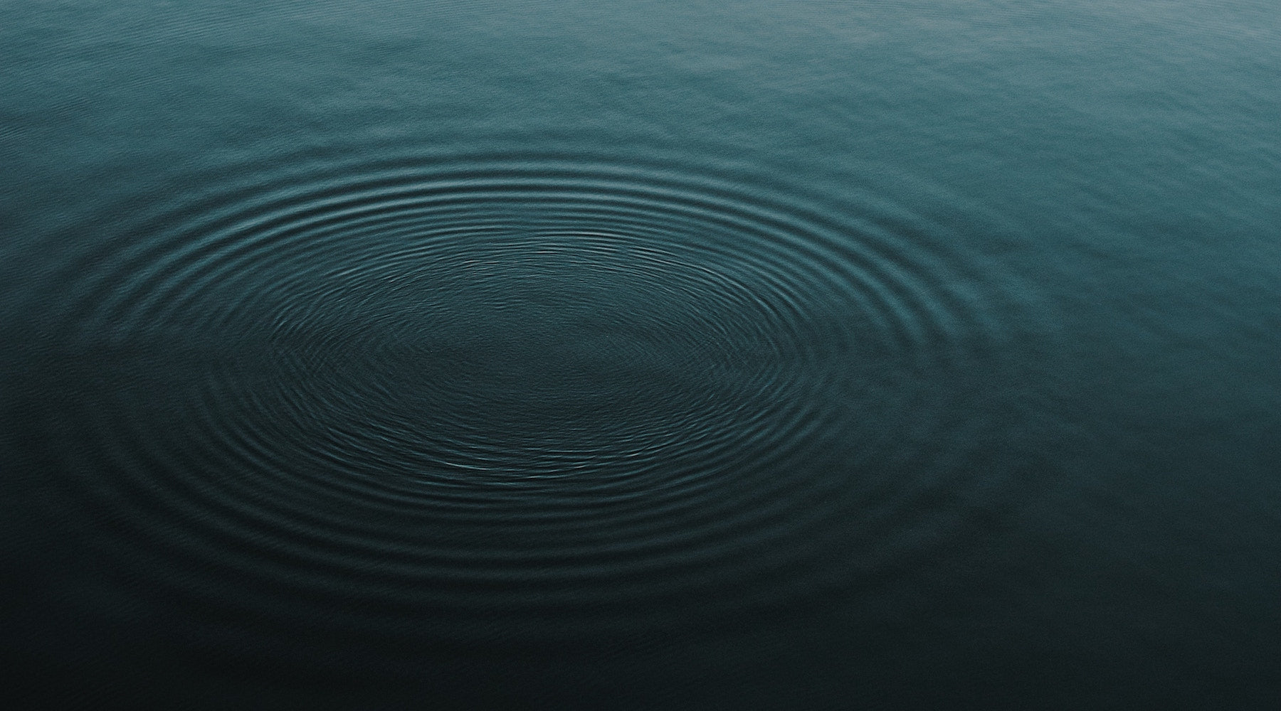OPRAH'S ADAM GLASSMAN & THE RIPPLE EFFECT