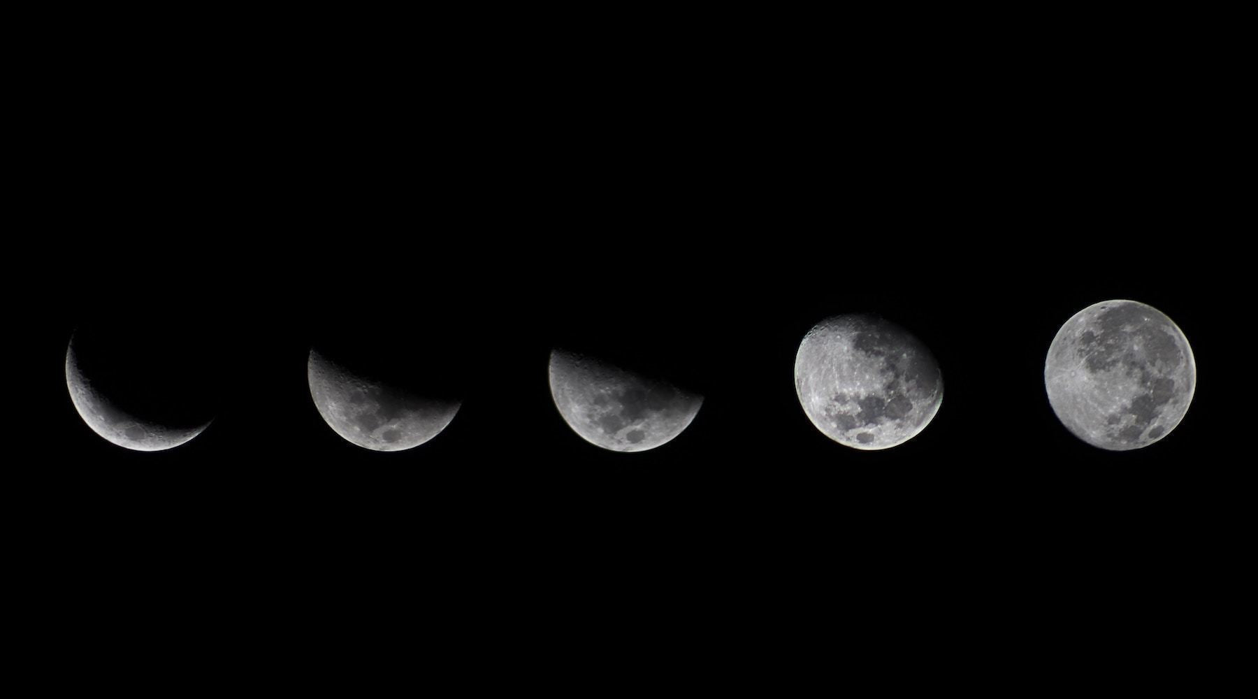 NOVEMBER 2019: MOONSHINE LUNAR FORECAST