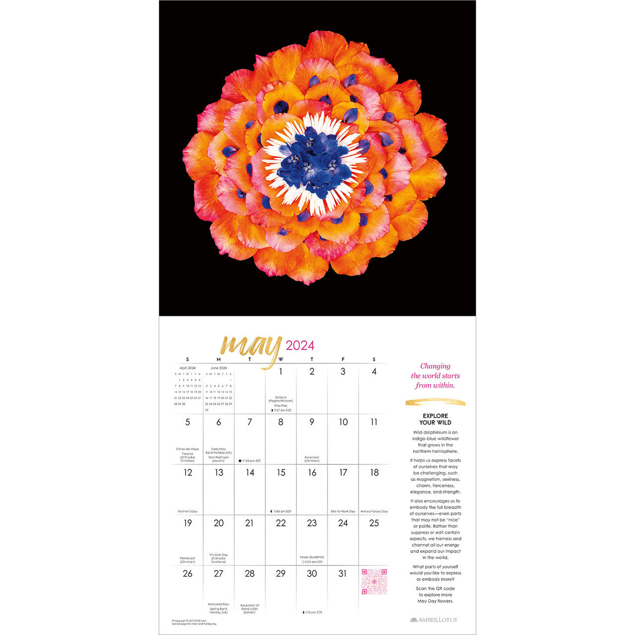 2024 LOTUSWEI Flowerevolution Calendar