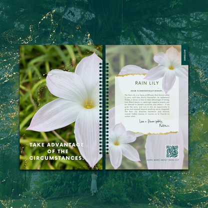 Wood Dragon Finale Planner & Journal