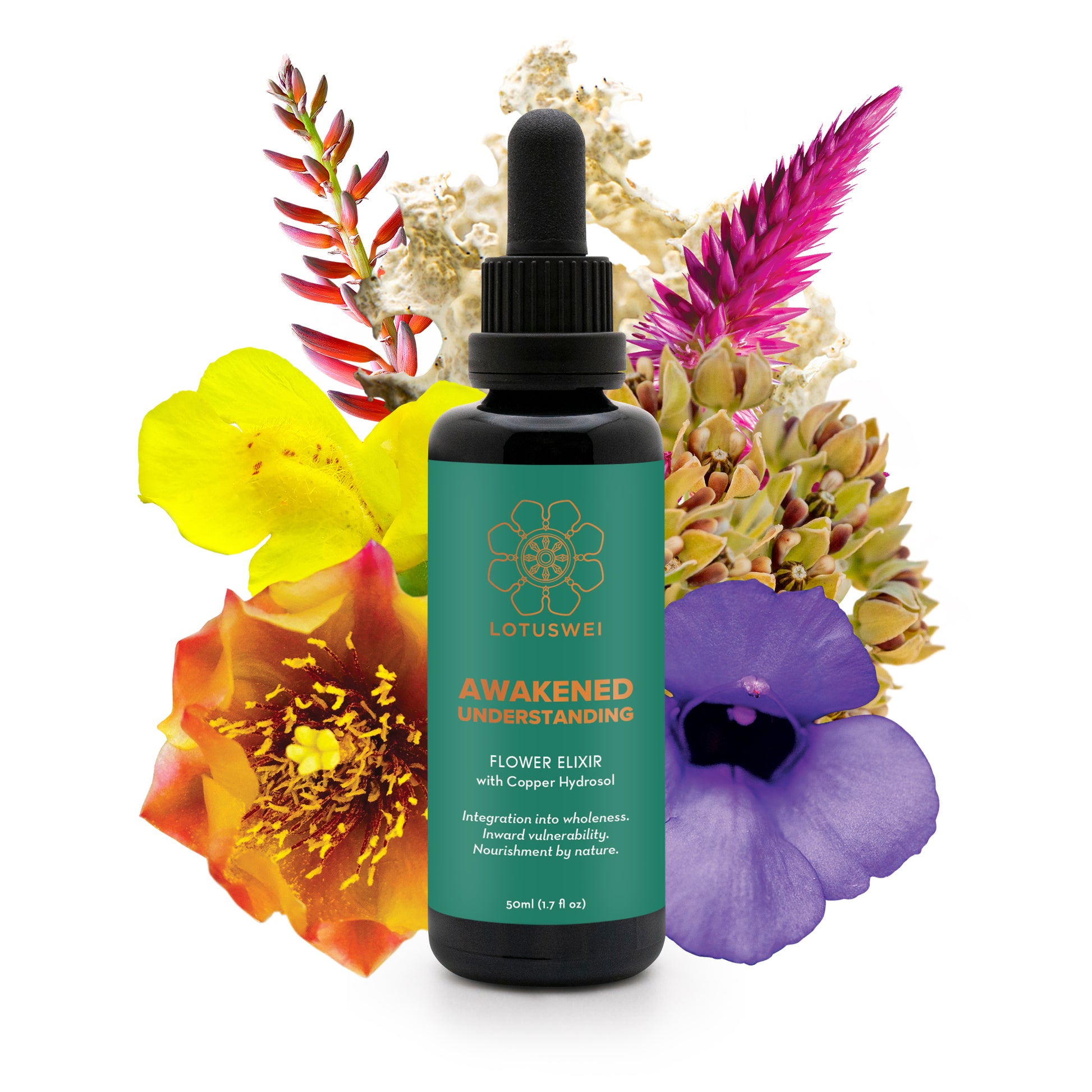 AWAKENED UNDERSTANDING - Flower Elixir
