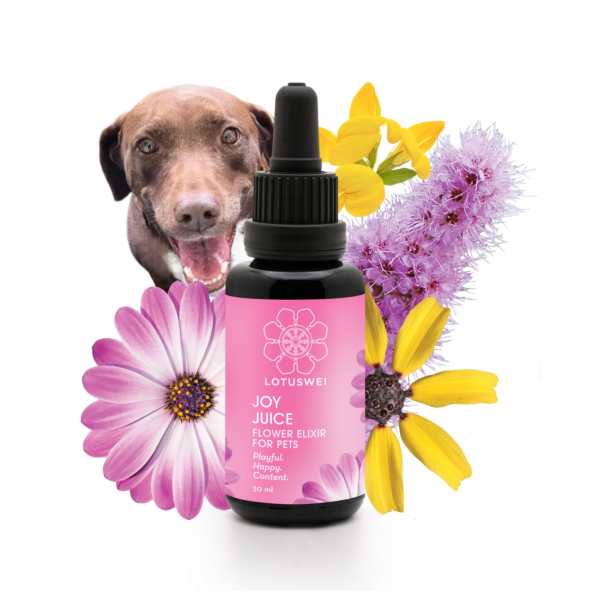 Joy Juice Pet Elixir