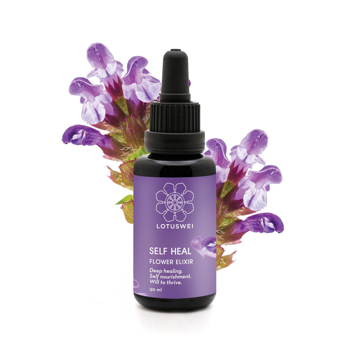Immune Boosting Kit