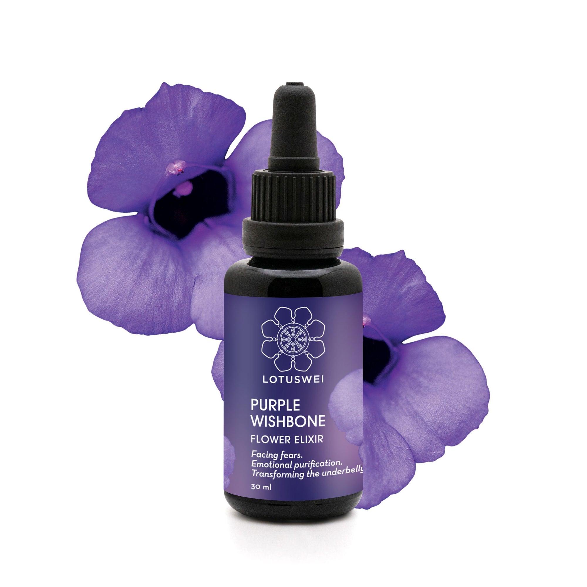 Purple Wishbone Flower Elixir